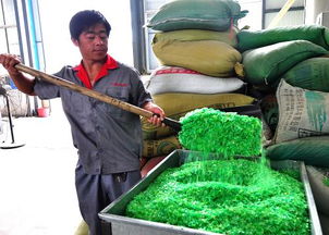 废旧塑料环保再利用市场崛起 绿色转型下的新机遇