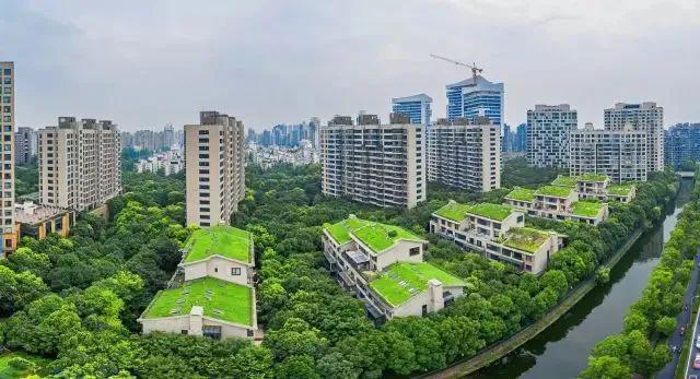 中鹰黑森林 绿色科技豪宅的典范